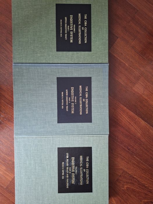 4 livros Netter de anatomia e fisiologia