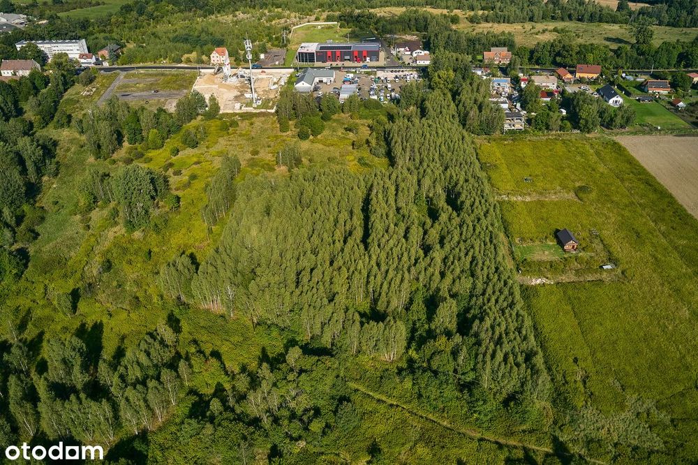 Zdjęcie 5