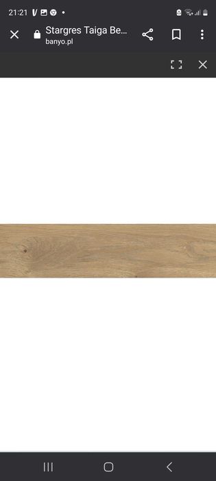 Płytki stargres taiga beige 15,5x62