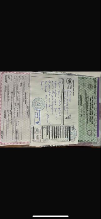 Продам німецьких яхтерєрів