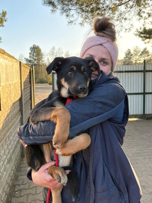 Biedna młodziutka Figa błaga o dom zza krat