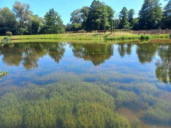 Wynajmę domki całoroczne  Góry Świętokrzyskie balia , jacuzzi , sauna