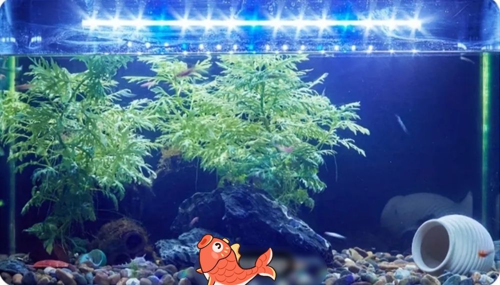 Погруженые лампы для аквариума