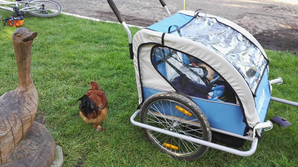 Przyczepka z nartami (samoróbka) używana