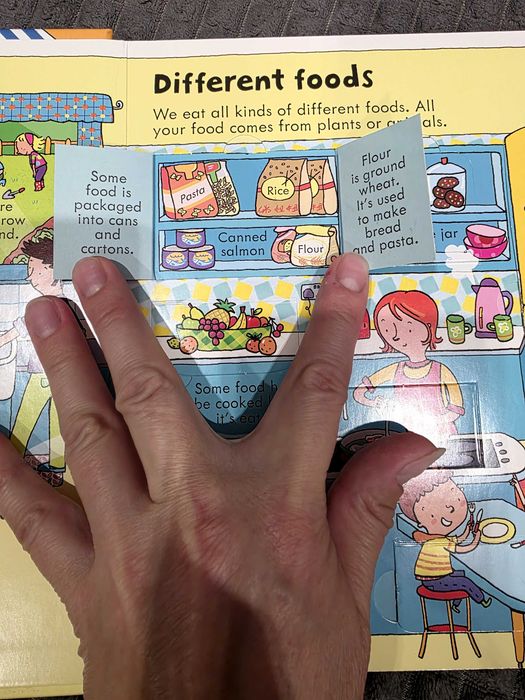 Book Usborn, look inside Food