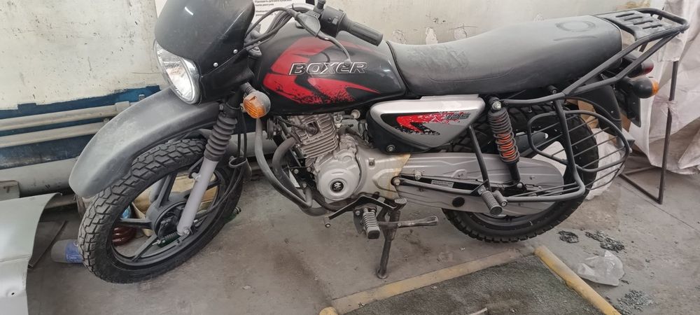 Boxer bm125x 2023