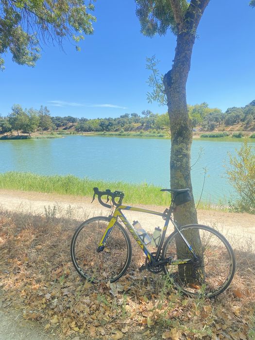 Bicicleta de estrada Coluer Radar