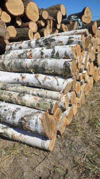 Березовые дрова с быстрой и бесплатной доставкой в Одессе и области!