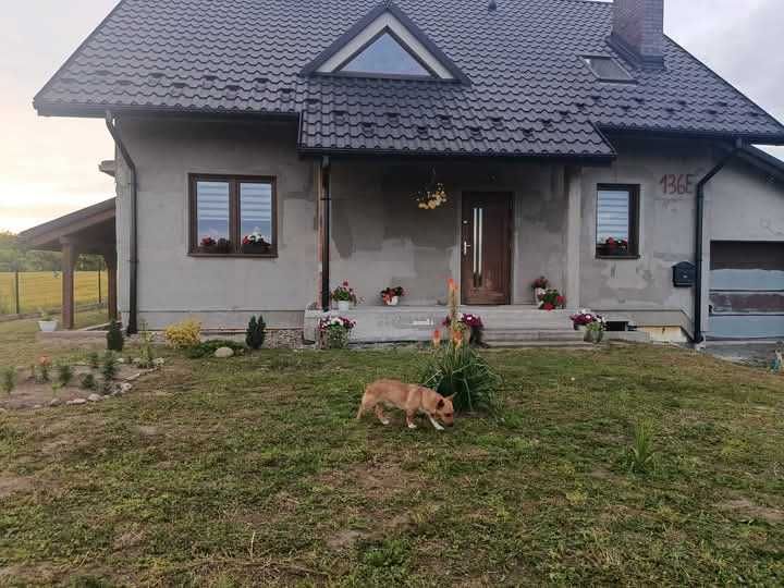 Dom jednorodzinny Prandocin 200 m2