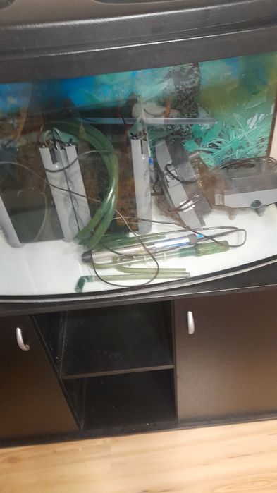 Panoramiczne akwarium o pojemności 200 litrów.