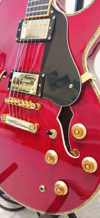 Електрогітара Samick Greg Bennett RL-40/WR