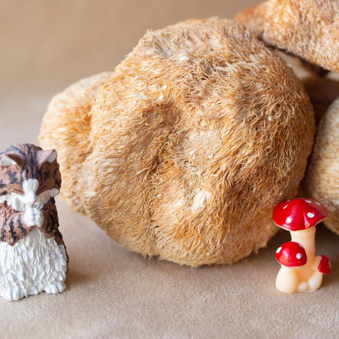 Ежовик гребенчатый гриб сухой, їжовик, lion's mane, ежевик,(Gericium)