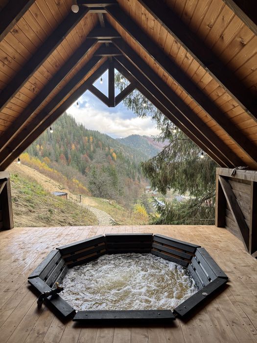 БУДИНОЧКИ В КАРПАТАХ | Королівське місце | ЧАН