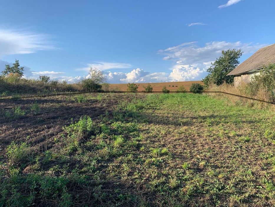 Продам ділянку 25 сотих зі старим будинком, с. Ставки