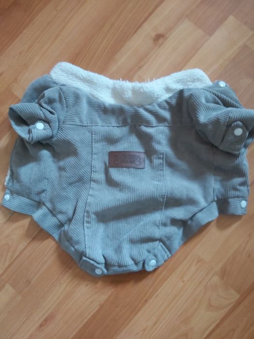 Одяг для малих собачок