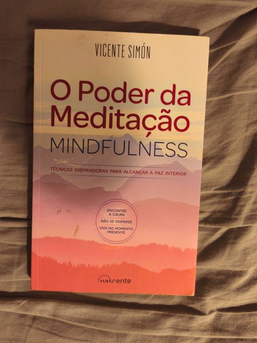 O poder da meditação mindfulness