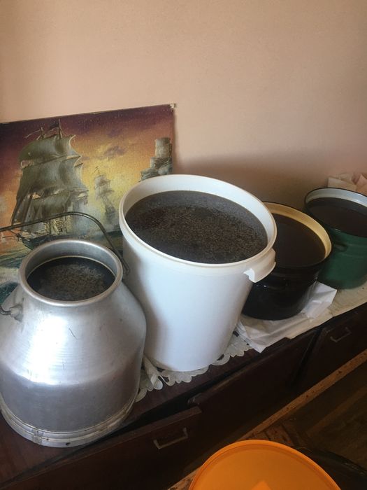 Продам свіженький мед з власної пасіки