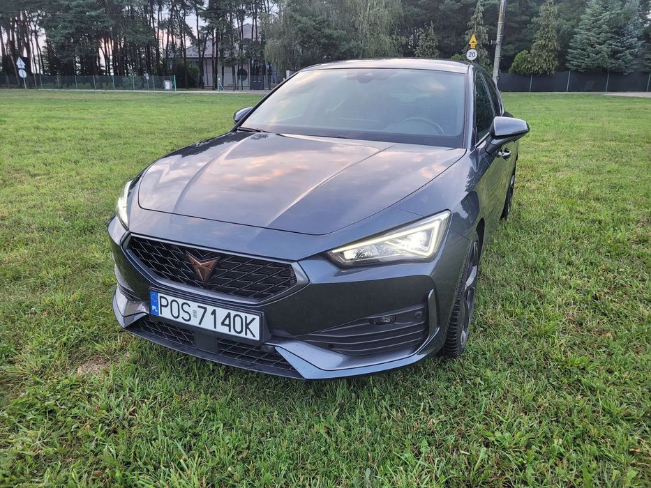 Cupra Leon Bardzo bogata wersja
