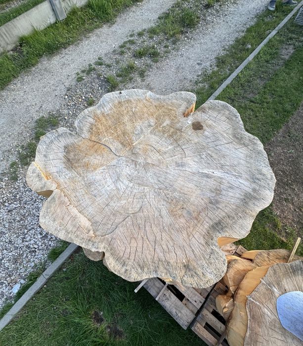 Plastry drzewa na stolik