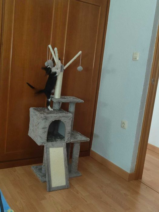 Drapak legowisko domek wysoki dla kota słupek do drapania NOWY 118 cm