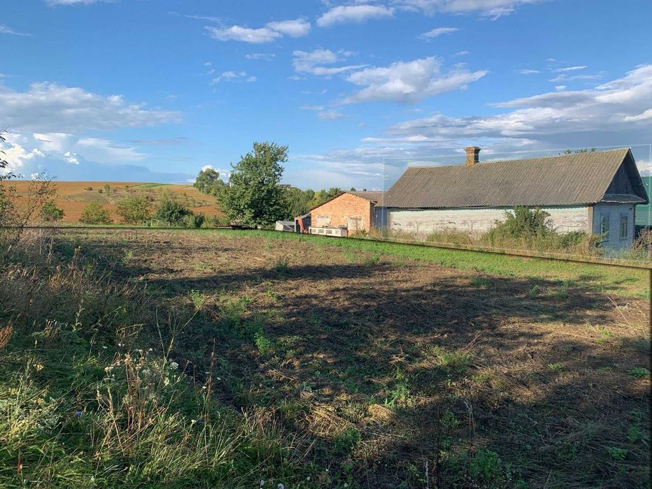 Продам ділянку 25 сотих зі старим будинком, с. Ставки