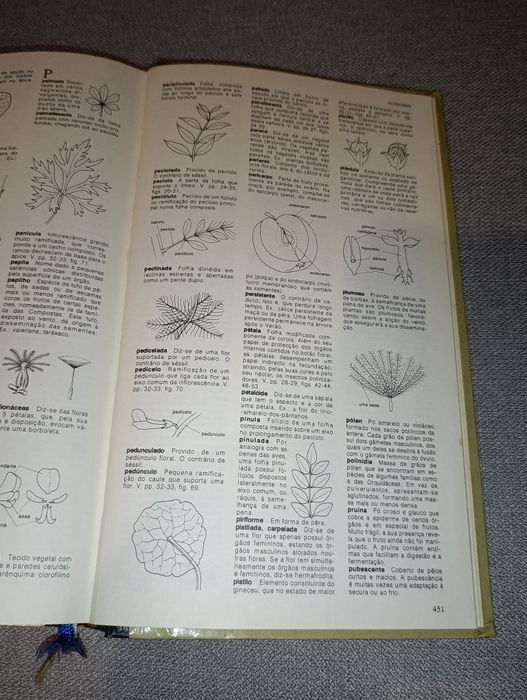 Livro Segredos e Virtudes das Plantas Medicinais