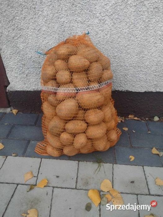 Ziemniaki Jelly Soraya