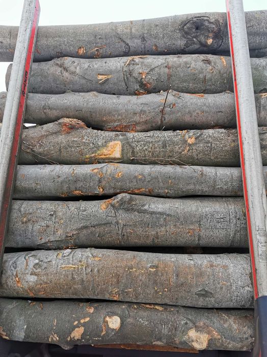 Drewno Opałowe Kominkowe Buk Grab Sezonowany Transport