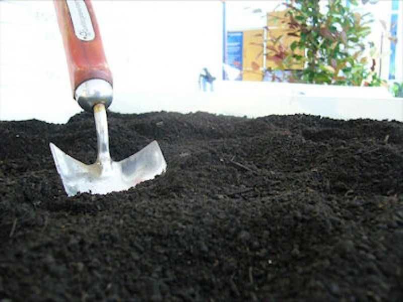 Vende se Terra vegetal preta