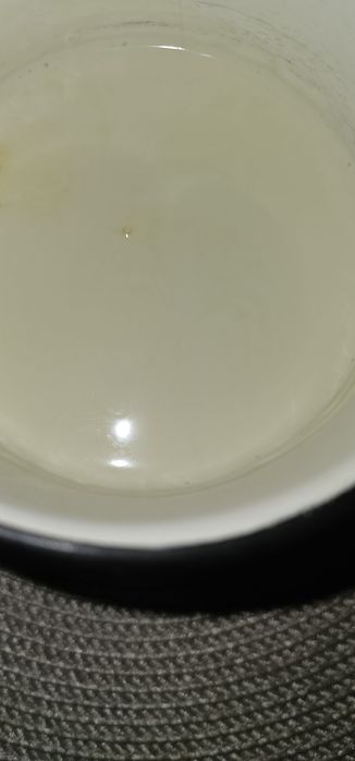 Mleko i siara- colostrum od kozy