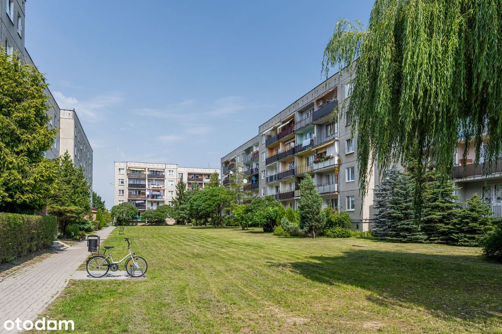 2 pokoje z balkonem | Wyremontowana piwnica | Umeblowane