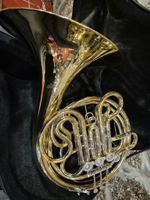 Trompa Wisemann DFH-BF600