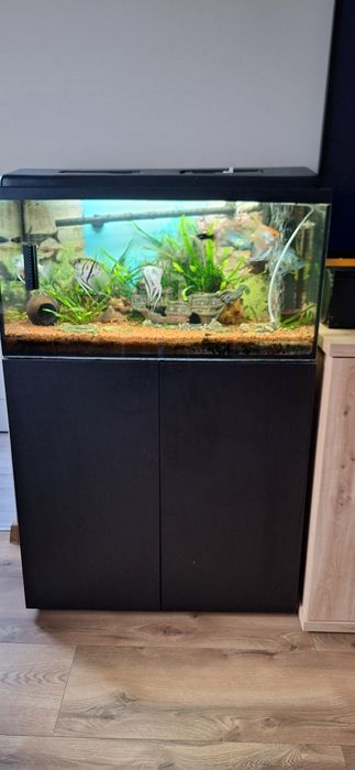 Akwarium z szafką rybkami .