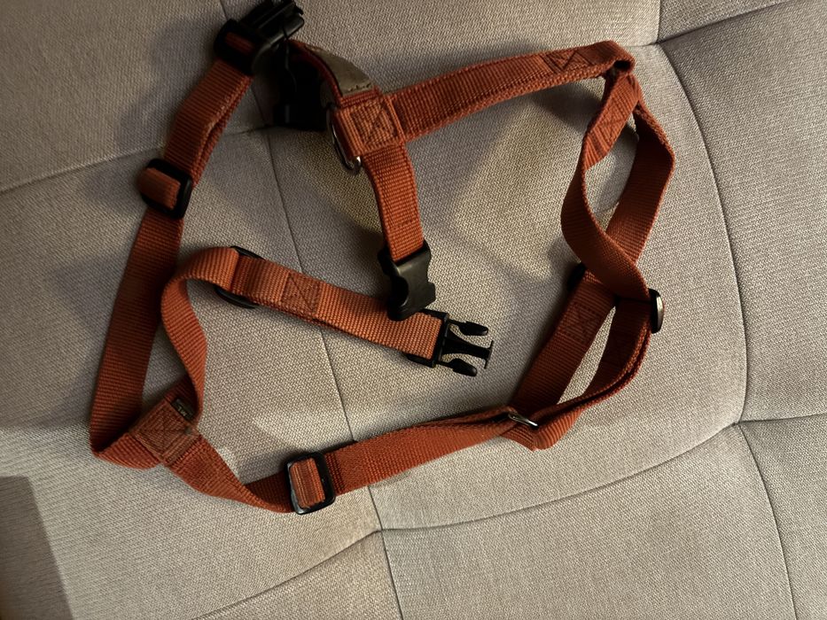 Szelki dla psa Haquihana M/L