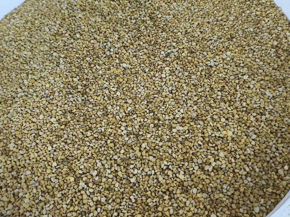 Пилок бджолиний 2025