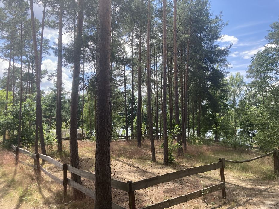 Wynajme dzialki nad jeziorem - Widok 2