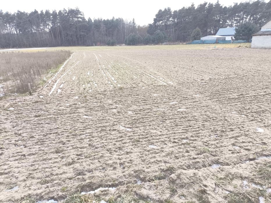 Sprzedam działkę budowlaną Jaryszewo k. Obrzycka