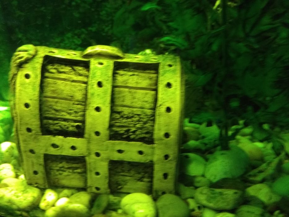 Продам  аксессуары к аквариуму,, подросших молинезий