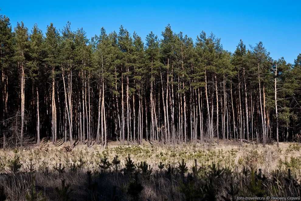 Продается дом в пгт. Малиновка Чугуевского района