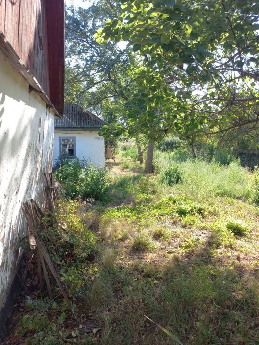 Продам земельну ділянку