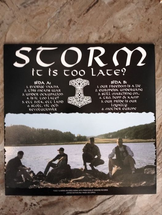 Storm - Is It too Late? Skinhead RAC winyl