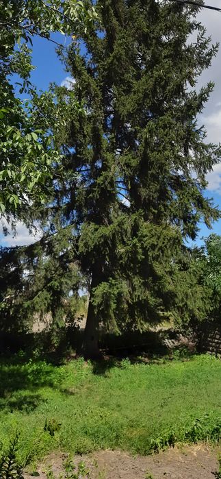 Будинок гарне розташування с.Красна Лука