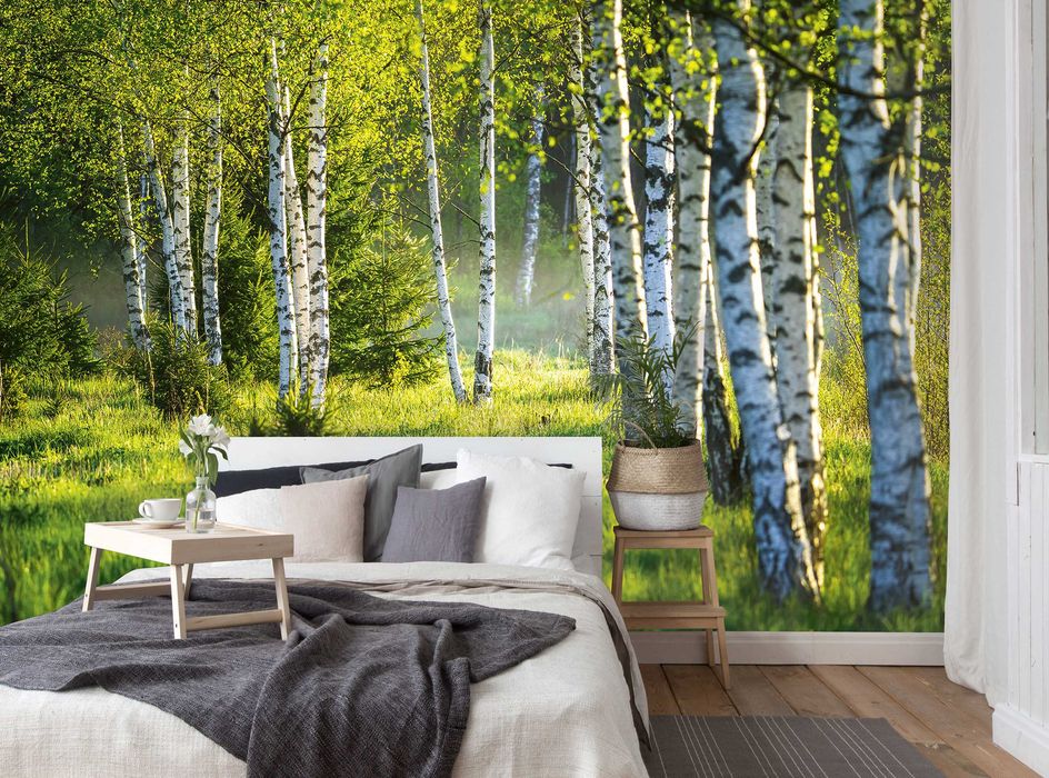 Fototapeta Brzozy Las Natura Widok 3D Na Twój Własny Rozmiar + KLEJ