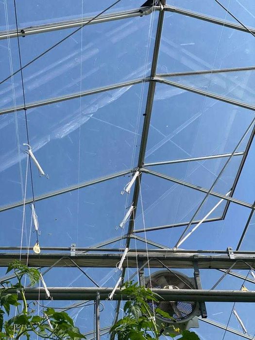 Теплиця типу Венло 1,7 га (плівка, теплиця, труби, Венло)