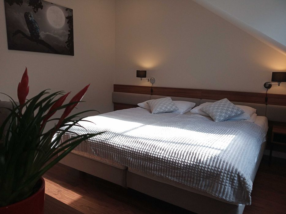 Ferie, zima, domki, noclegi, jacuzzi, sauna, kominek, balia