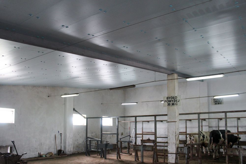 Izolacja Styrodur XPS AGRO Ocieplenie pod Płyty Warstwowe Obornickie