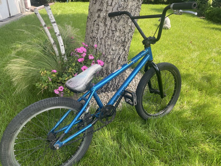 Bmx galaxy  earlybird