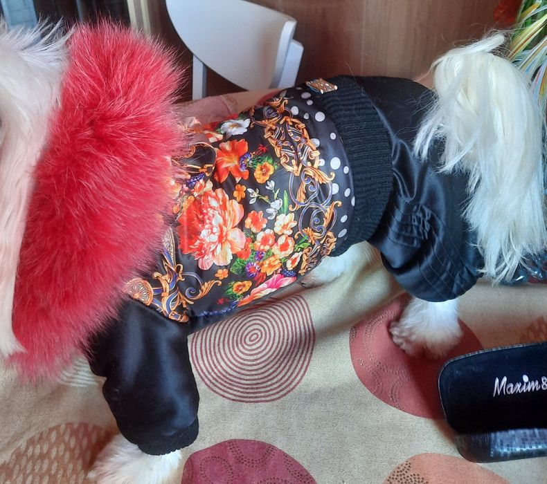 Комбезики,   для собачек и шапочка