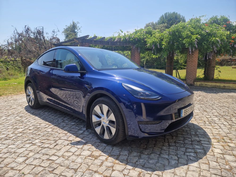 Tesla Model Y RWD