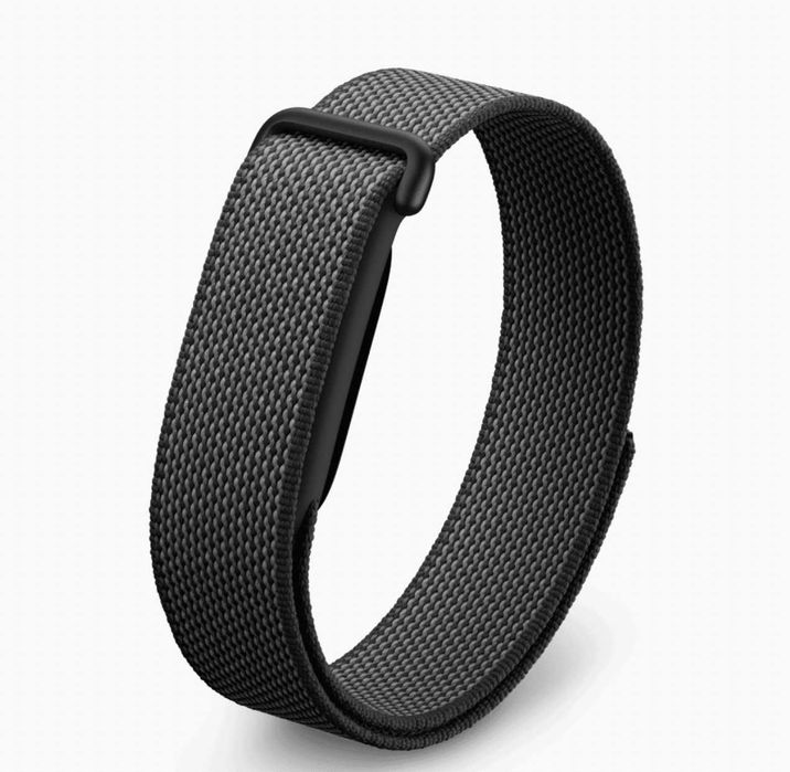 Фітнес-браслет Google Fitbit Air